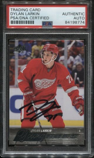 Dylan Larkin 2015 - 16 Upper Deck Young Guns Ip Signed Auto Card Psa Dna Authentic