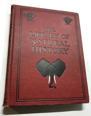 The Library Of Natural History,  Animals,  Peoples,  4 Vol.  Set 1906.  Illustrated.