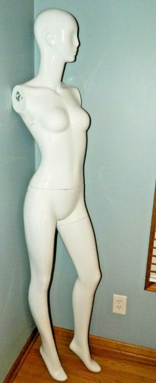 72 " Female Mannequin 3 Piece Glossy Vintage Clothing Fiberglass Head Torso Legs