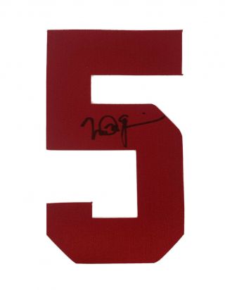 St.  Louis Cardinals Mark Mcgwire Signed Jersey Number Homerun Chase