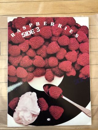 Vtg.  1973 Raspberries (eric Carmen) Side 3 Song Book W/ Bob Gruen Photo Gallery