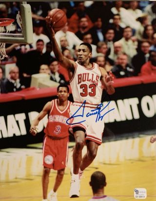 Scottie Pippen Chicago Bulls Signed 8x10 Photo Autographed Auto