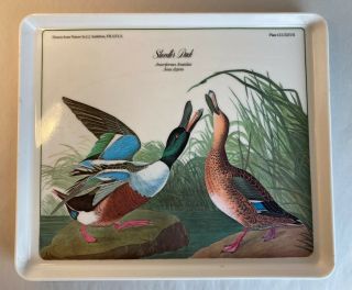 Vintage Audubon Print Shoveller Duck Duck Melanine Serving 12x10 Tray Italy