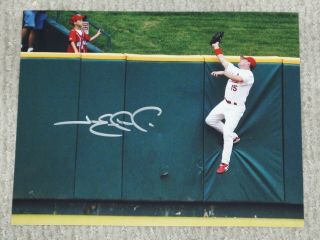 Jim Edmonds Signed St Louis Cardinals Jumping Catch 8x10 Photo