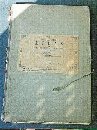 Buch.  Plastisch - Anatomischer Atlas.  Ch.  Roth.  Stuttgart.  1870.  23 Holzschnitte.