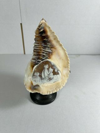 Vintage Conch Shell Cameo Carved Lamp Vintage Interiors