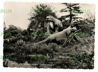 Old Postcard The Dinosaurs Crystal Palace London Real Photo Vintage C.  1960