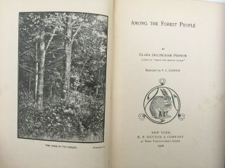 AMONG THE FOREST PEOPLE 1900 Pierson ANTIQUE CHILDREN ' S BOOK Animal Stories RARE 2