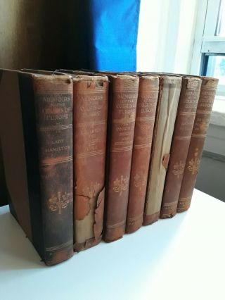 Memoirs Of The Courts Of Europe 7 Volumes 1910 Very Cool Antoinette,  Pompadour