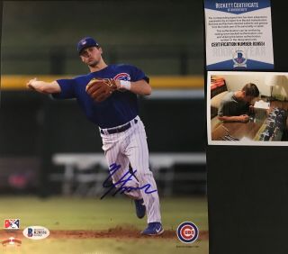 Nico Hoerner Cubs Autographed Signed 8x10 Photo Beckett Rookie 1