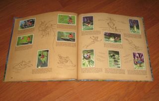 1953 Walt Disney PETER PAN hardcover Complete Sticker BOOK danish text 3
