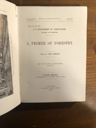 1900 Primer Of Forestry; Part I; Us Dept.  Of Agriculture