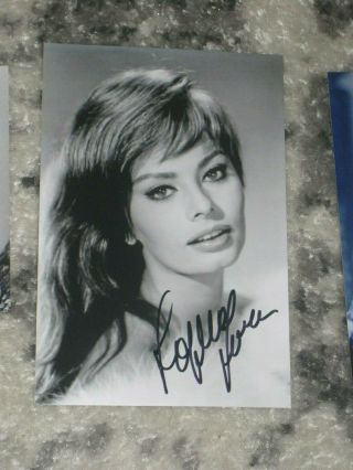Actress Sophia Loren Signed 4x6 Sexy Photo Autograph 1n