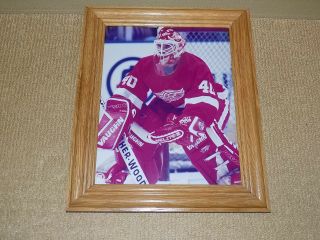 Bill Ranford,  Detroit Red Wings,  Nhl Hockey Goalie,  8 X 11 Photo With Frame
