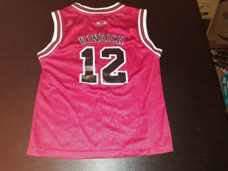 Kirk Hinrich Chicago Bulls Adidas Youth Jersey