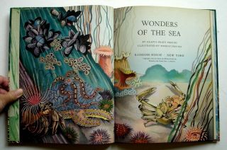 Wonders of the Sea,  1941 HC,  Glady Pratt & Rudolf Freund 3