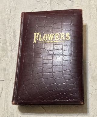 A Tribute Of Flowers To The Memory Of Mother 1888 John Mccoy M.  D.  Illustrated