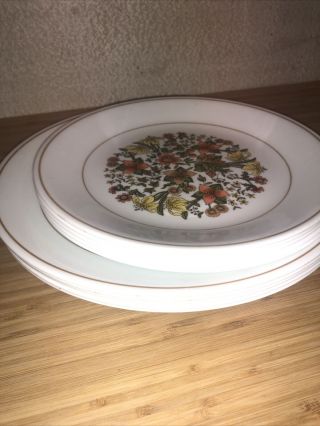 Set Of 5 Vintage Corelle Indian Summer Dinner Plates & 5 Salad Plates