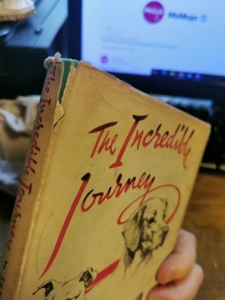 The Incredible Journey Sheila Burnford rare first edition 1st Edition 1961 3