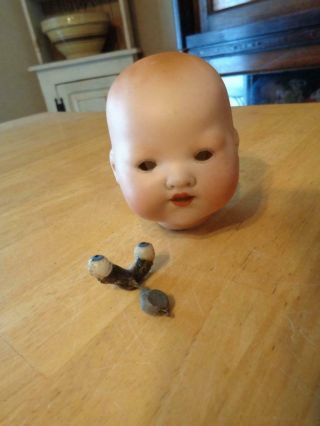 Antique Armand Marseille Bisque Dream Baby Doll Head Eyes Need Reset 3 "