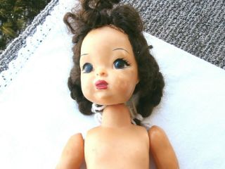 Vintage Terri Lee Doll Painted Hard Plastic C1940 