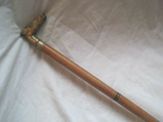 Wooden Walking Stick Cane With Horse Head Handle Is Solid Brass Vintage