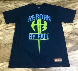 Wwe Authentic Matt And Jeff The Hardy Boyz “reborn By Fate” Men 
