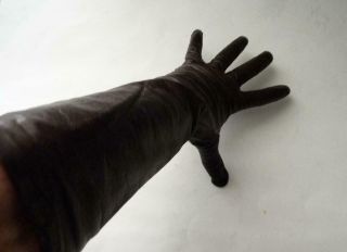 Carson Pirie Scott Kid Leather Brown Vintage Elbow 16 " Long Gloves Size 7.  5