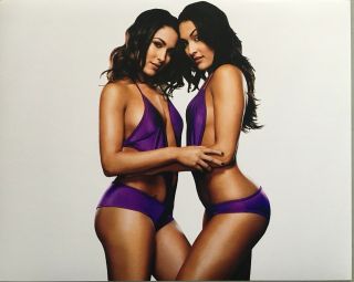 The Bella Twins 8x10 Photo Print Sexy Divas Raw Wwe Nxt Hall Of Fame 2020