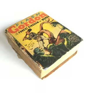 Flash Gordon In The Forest Kingdom Of Mongo Big Better Little Book 1492 1938
