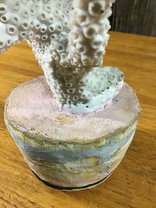 Interesting vintage piece of estate white coral in plaster base 3