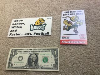1995 Cfl Memphis Mad Dogs Decal Bumper Sticker,  Mad Dogs Schedule Defunct