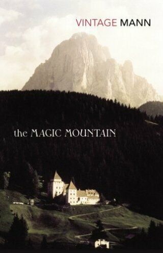 The Magic Mountain By Mann,  Thomas 0749386428 The Fast