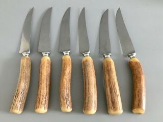 Set Of 6 Vintage Stag Antler Handle Steak Knives / Cox Co.  Sheffield England