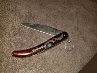 Vintage Rare Okapi Made In South Africa Folding Pocket Knife Cherry Wood