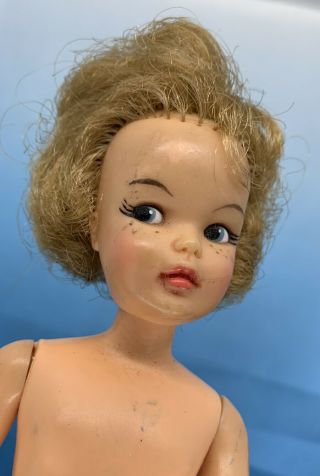 Vintage 1960s Ideal Toys Tammy’s Sister Pepper Doll P9 - 3 2