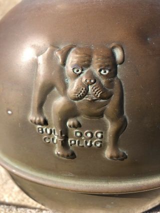 Vintage Brass Bull Dog Cut Plug Spittoon Cuspidor 11 Inches Tall