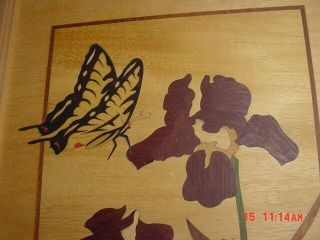 HUDSON RIVER INLAY MARQUETRY IRIS & SWALLOWTAIL NELSON VINTAGE 2