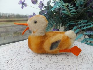 Vintage Mohair Steiff Duck Bird Toy Firm Wood Straw Fill Squeaker 2312,  03 Bear
