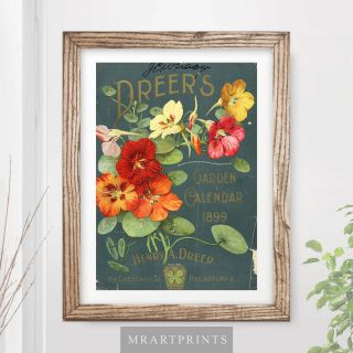 Vintage Flowers Art Print Poster Garden Red Orange Plants Picture Painting Home