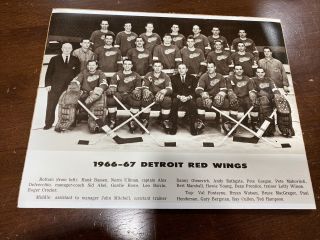 Nhl 1966 - 67 Detroit Red Wings Team Picture Black & White 8 X 10 Photo Picture