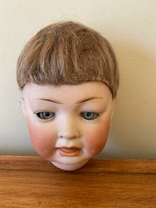 Antique Bisque Doll Head 8 - 1/2” 152 Blue Sleep Eyes