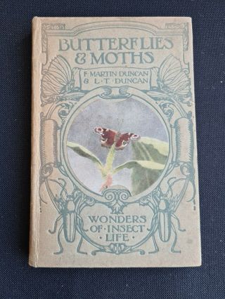 Wonders Of Insect Life F.  Martin Duncan & L.  T.  Duncan Butterflies And Moths