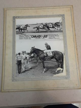 Vintage 1960 Horse Racing Winner’s Circle Photo " Chalkey Leo " Charles Town,  W.  Va