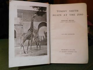 1919 TOMMY SMITH AGAIN AT THE ZOO - EDMUND ZELOUS - PHOTOGRAPHS OF ANIMALS 2