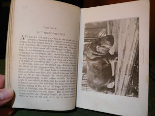 1919 TOMMY SMITH AGAIN AT THE ZOO - EDMUND ZELOUS - PHOTOGRAPHS OF ANIMALS 3