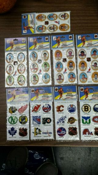 1983 - 84 Funmate Puffy Nhl Hockey Stickers - Complete Set With Album,  25 Panels