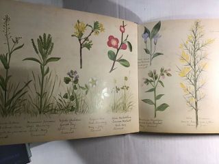 1978 Book A Victorian Flower Garden By Henry Terry 3