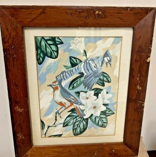 Vintage 1950s Paint By Numbers Blue Jays Painting Oak Framed 12 " X 16 "