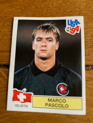 Panini Usa 94 World Cup 1994 Sticker Green Backs 33 Marco Pascolo